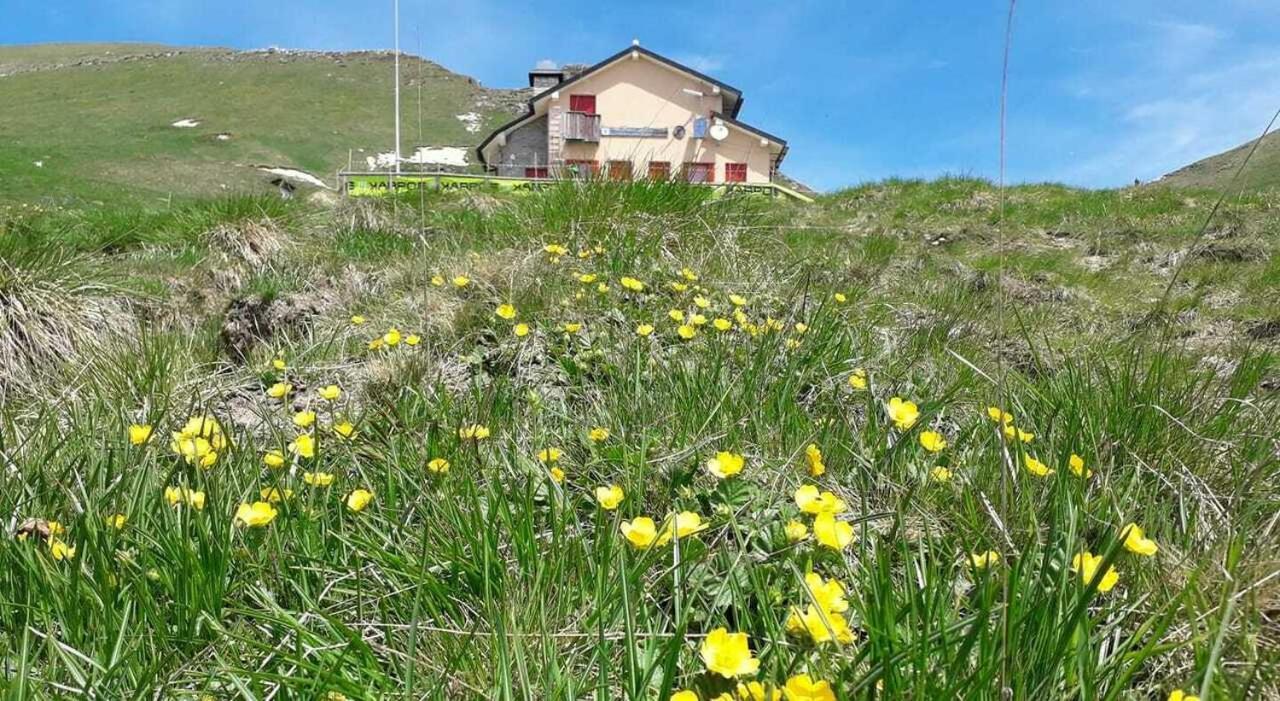 Residenza Letizia Daire Nemeggio Dış mekan fotoğraf