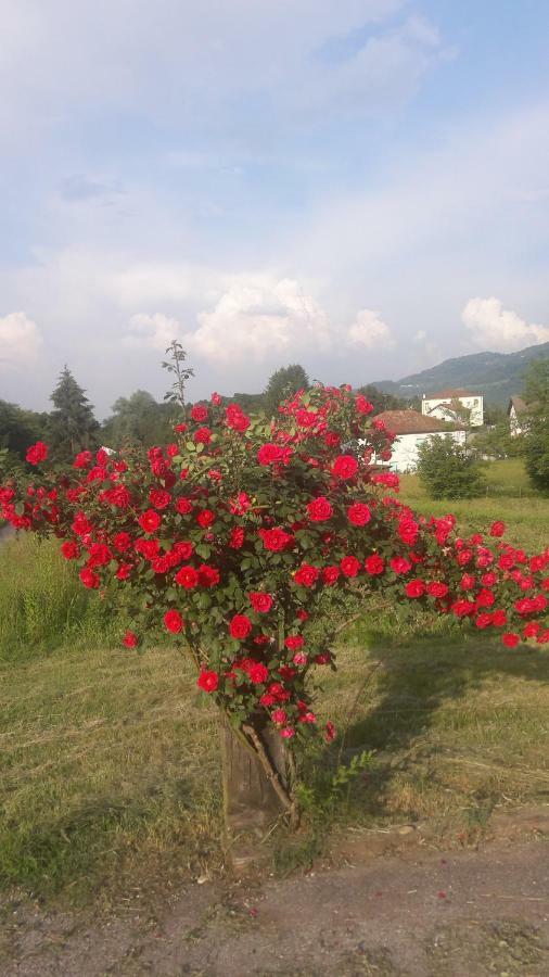 Residenza Letizia Daire Nemeggio Dış mekan fotoğraf