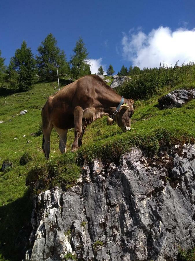 Residenza Letizia Daire Nemeggio Dış mekan fotoğraf